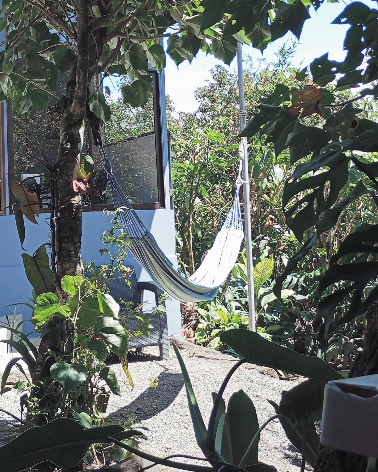Monteverde Cecropia Paradise Room photo