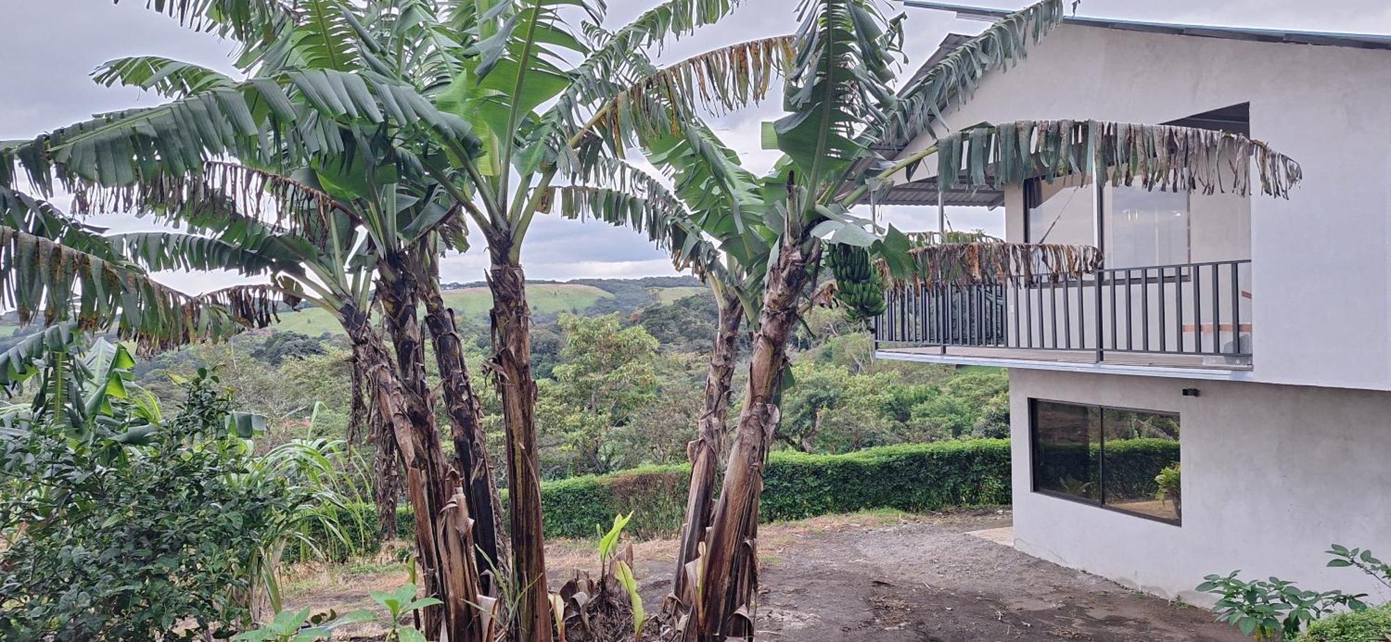 Monteverde Cecropia Paradise Room photo