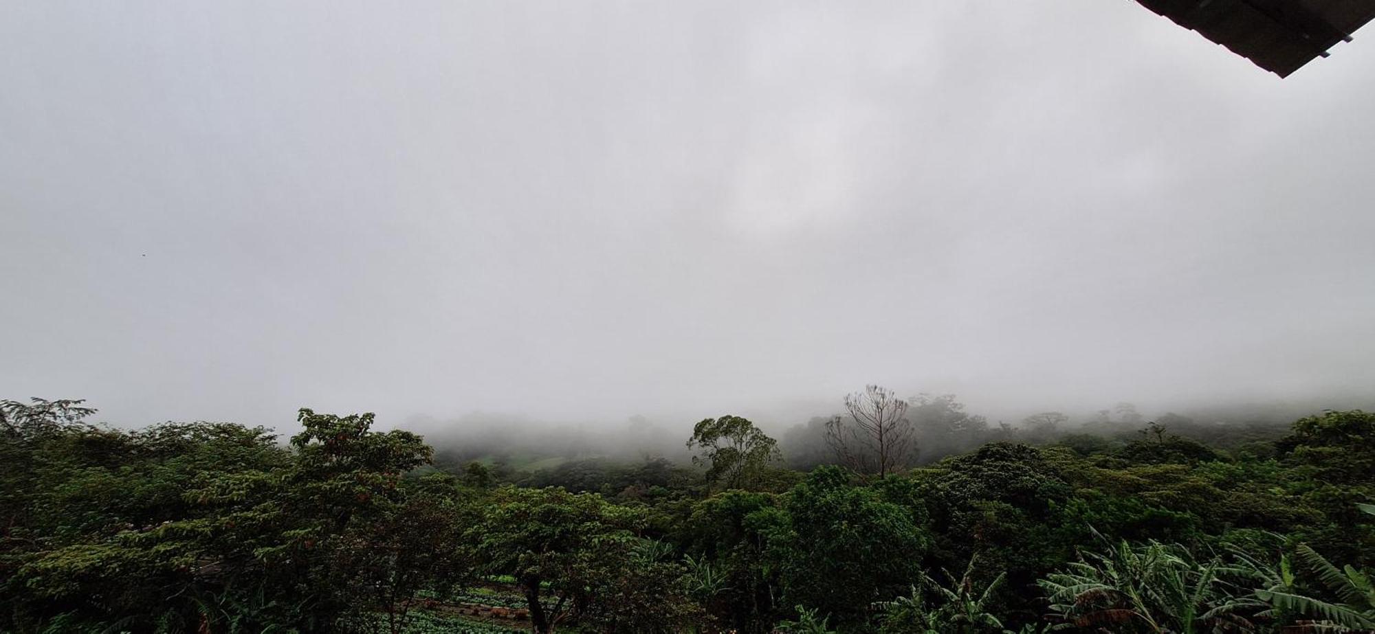 Monteverde Cecropia Paradise Room photo