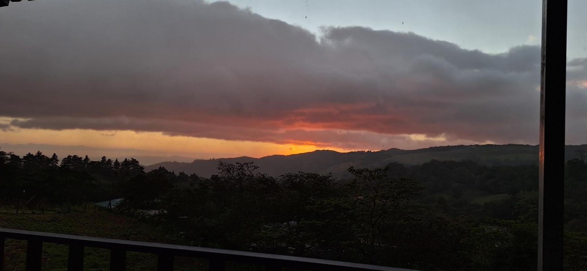 Monteverde Cecropia Paradise Room photo