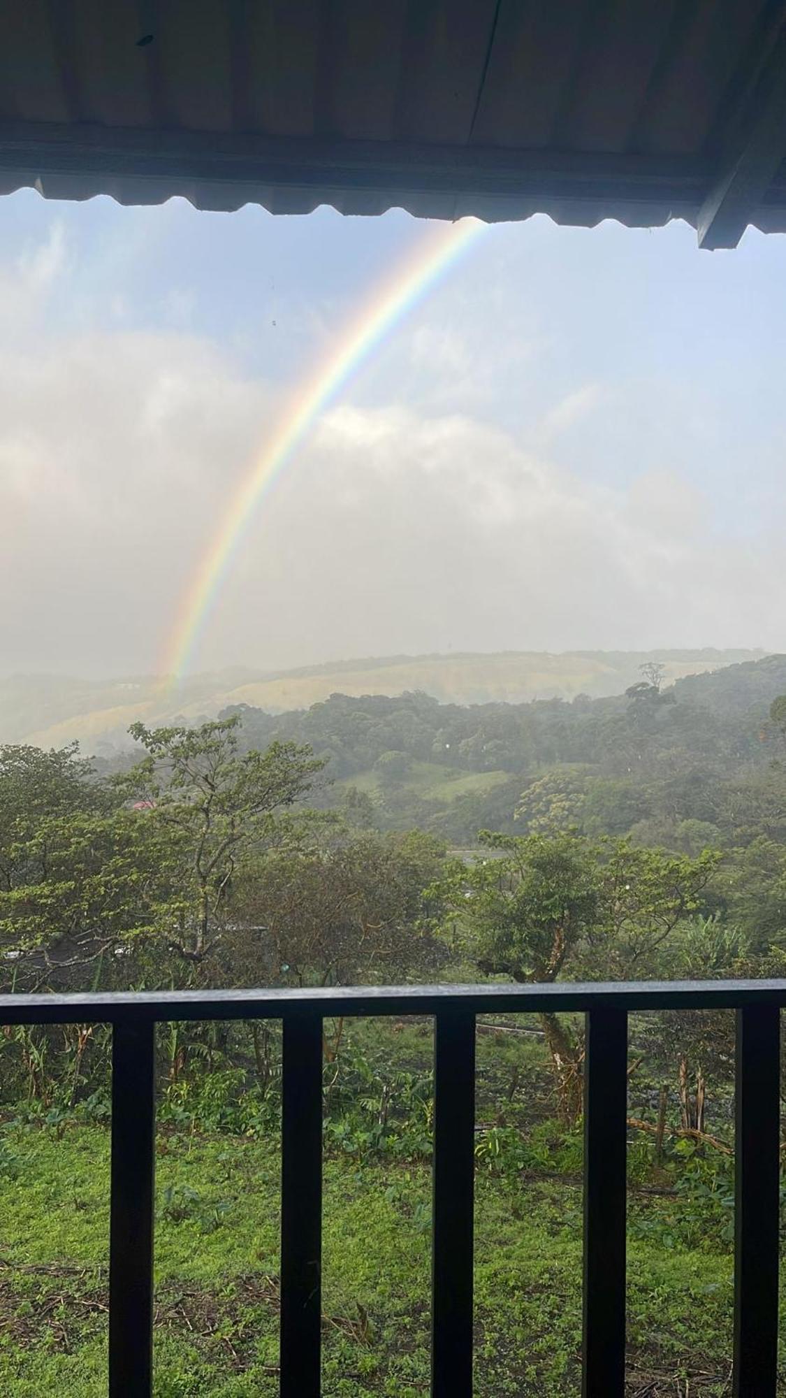 Monteverde Cecropia Paradise Room photo