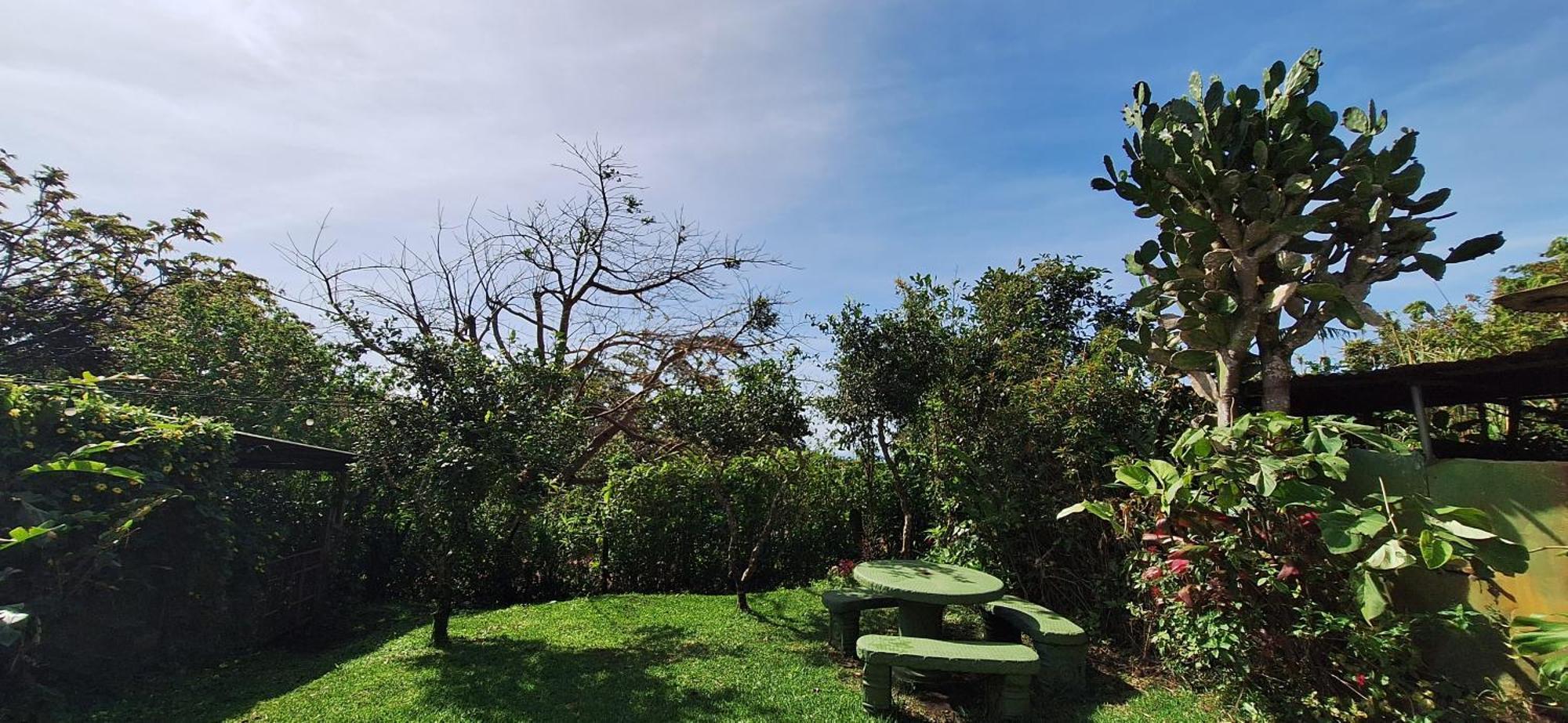 Monteverde Cecropia Paradise Room photo