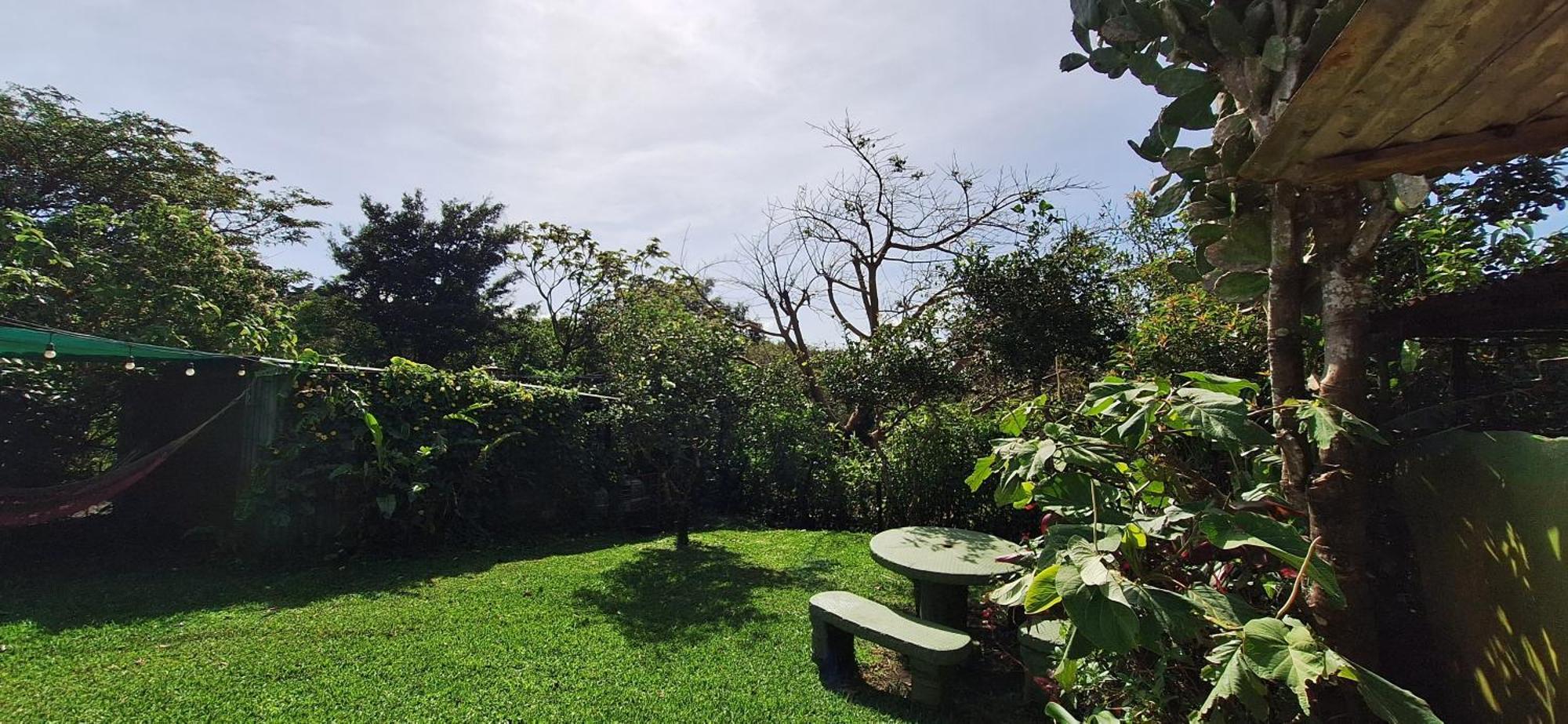 Monteverde Cecropia Paradise Room photo